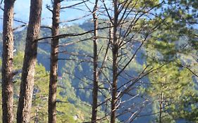 Reddoorz Hostel @ Faes Transient House